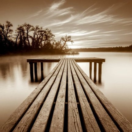 File:Sepia1.jpg