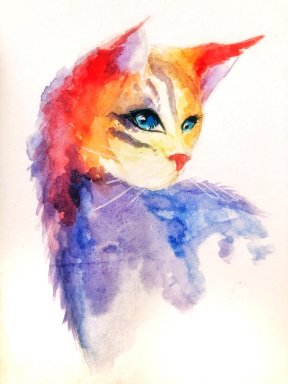 Delwin colorful cat.jpg
