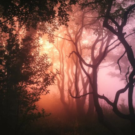 File:Volumetric lighting.jpg