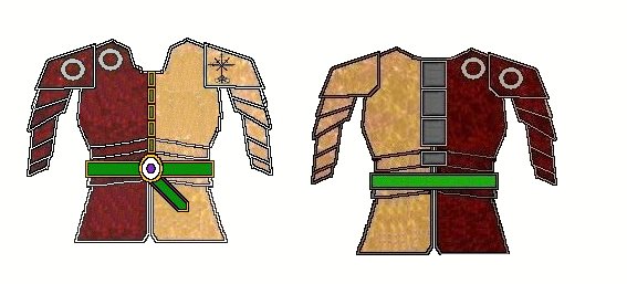 Fighting Rig with Harness and Abdomen guard.jpg