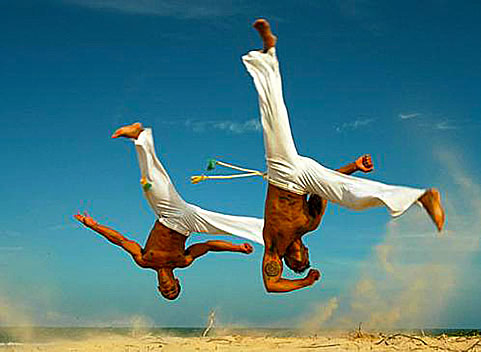 Capoeira-martial-arts-of-Brazil1.jpg
