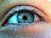 250px-Closeup of an blue-green human eye.jpg