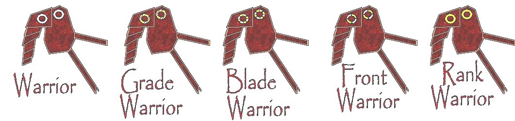 Warrior harnesses with rank rings.jpg