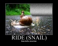 MPost8155-Ride snail.jpg