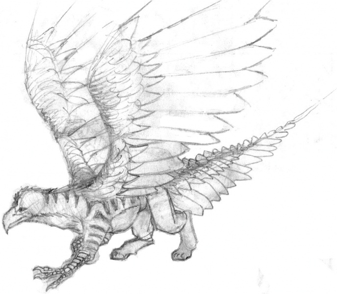 File:Mmf-griffiger.jpg