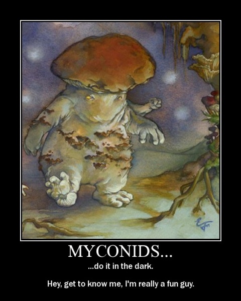 File:MPost20539-myconidsmotiv.jpg