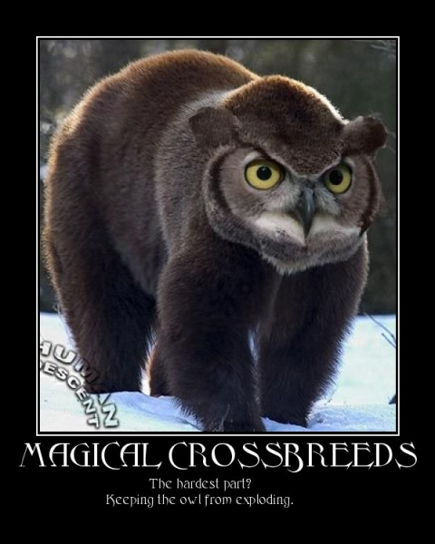 File:MPost13122-owlbear.jpg