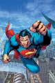Superman - Jim Lee.jpg