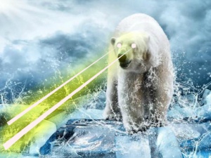 Urso polar2.jpg