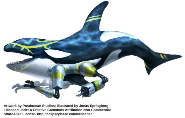 Neo-Orca.png