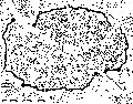 Altdorf Map.gif